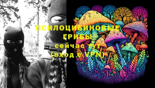 гидра Алексеевка