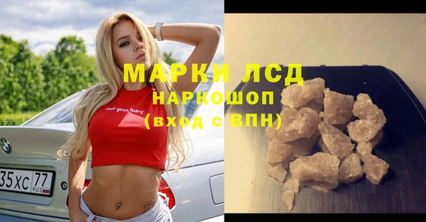 гидра Алексеевка