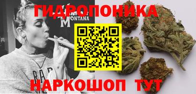 сатива Бузулук