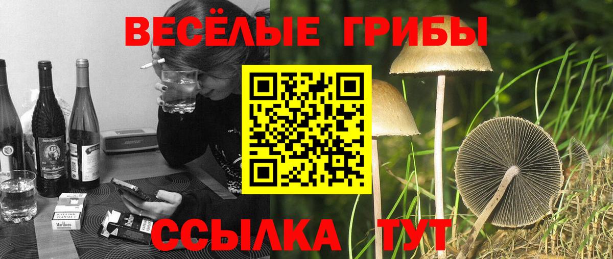 Псилоцибиновые грибы GOLDEN TEACHER  Вход с VPN  Кыштым 