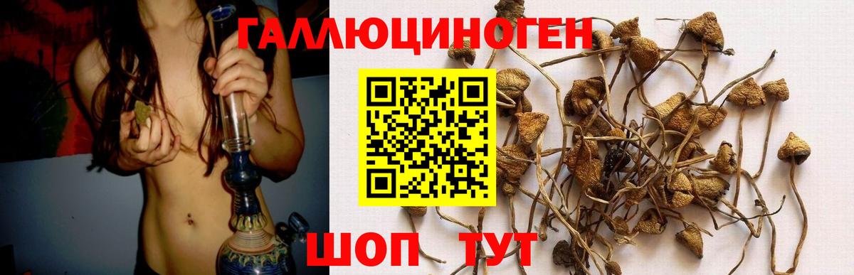 Псилоцибиновые грибы GOLDEN TEACHER Кыштым